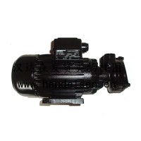 BRINKMANN臥式端吸泵SBA、SBAS-V、SBG、SBGS-V、SBM