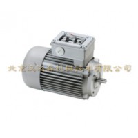 Minimotor-單相同軸齒輪電動機PAE技術參數(shù)
