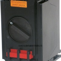 ceag用于受控三相驅(qū)動(dòng)器的防爆安全開(kāi)關(guān)20-80 A