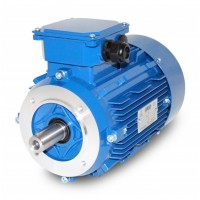 Mini Motor電機(jī)AC 244PT型號