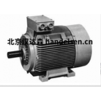 德國Mini Motor電機(jī)