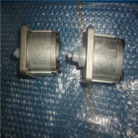 專業(yè)銷(xiāo)售齒輪泵和電機(jī)WS-CASAPPA