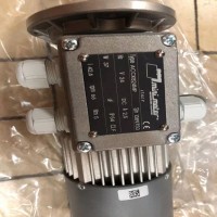 Mini Motor單向電機，異步電機系列展示