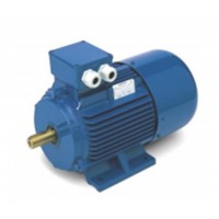 OEMER意大利直流電機馬達(dá)LQ100L 5.2KW