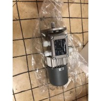 意大利Mini Motor無刷的電機(jī)的型號和應(yīng)用特點