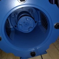 Pompetravaini液環(huán)真空泵TRH 32-20石化 、制藥 、食品領(lǐng)域