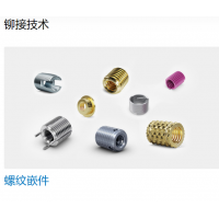 Bossard 提供多種不同類型的螺母，墊圈，螺釘，鉚釘?shù)染o固件