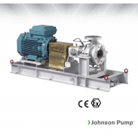 Johnson Pump 重型流程泵，適合化工/石化工業(yè)、煉油廠和一般工業(yè)應(yīng)用