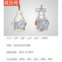 Sitecna 減壓閥，為廣泛的應(yīng)用提供了極好的調(diào)節(jié)，堅固和腐蝕