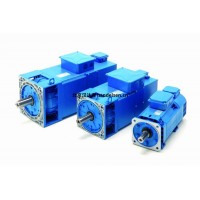 意大利 OEMER 永磁同步電機 QS 系列：永磁驅(qū)動，智啟高效節(jié)能新未來