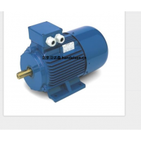 意大利 OEMER 異步電機 MTES3 系列：高效驅(qū)動，賦能工業(yè)新動能